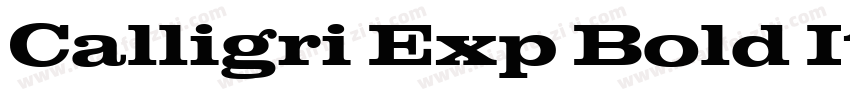 Calligri Exp Bold Italic Bold Itali字体转换